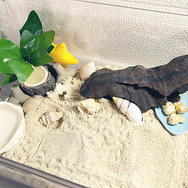 asyさんの実例写真