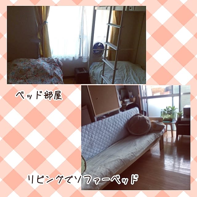 mi-saさんの部屋