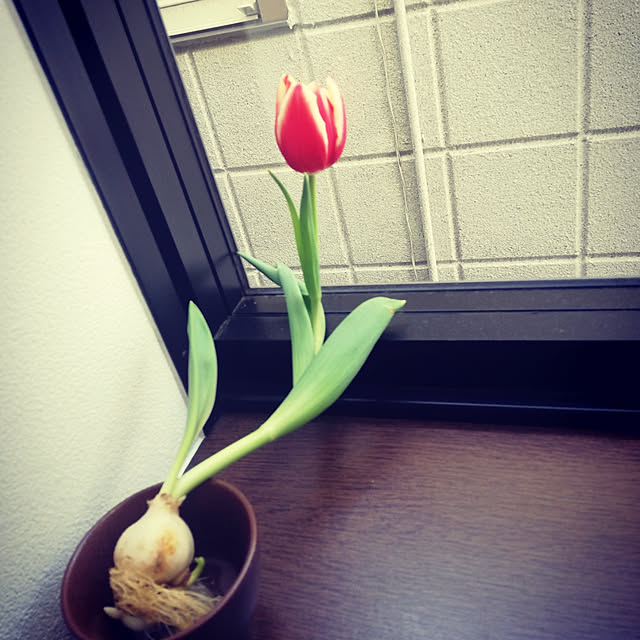 hieさんの実例写真