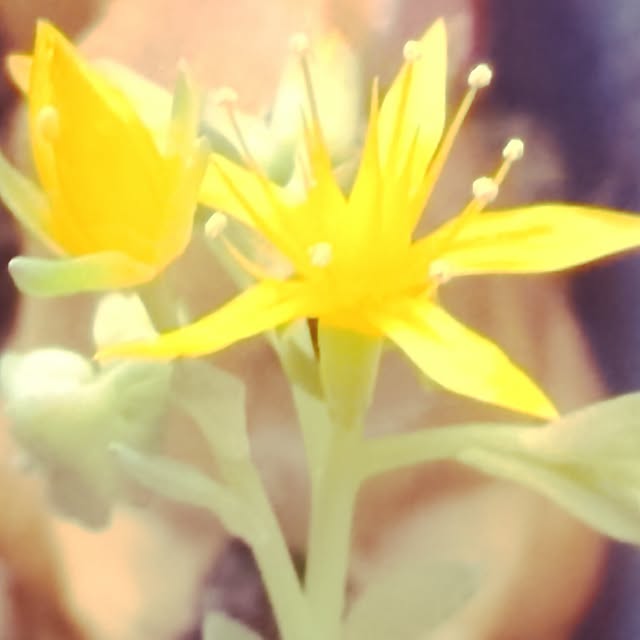 0103_eriさんの実例写真