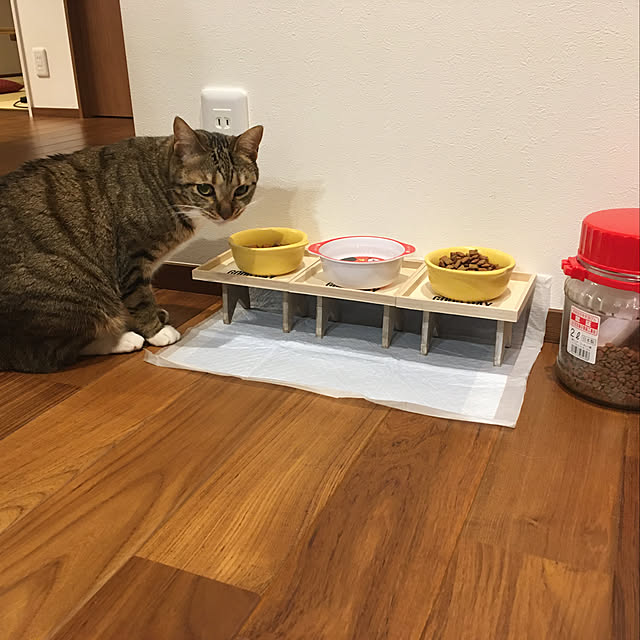 maruさんの実例写真