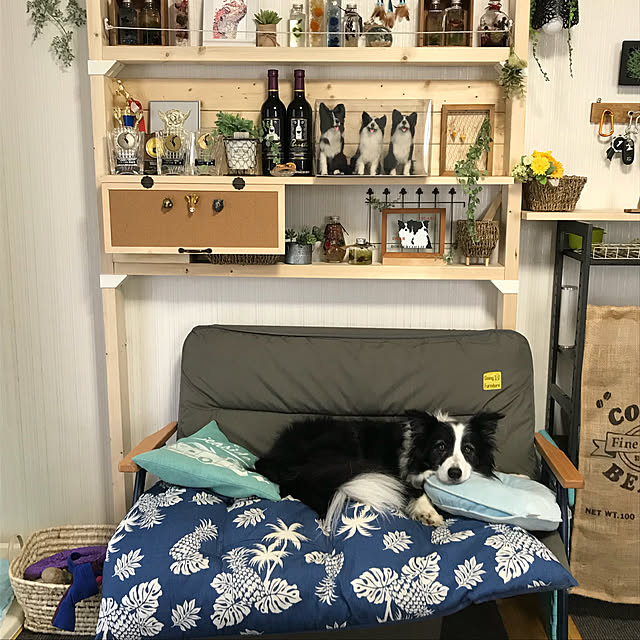 Caoluさんの実例写真