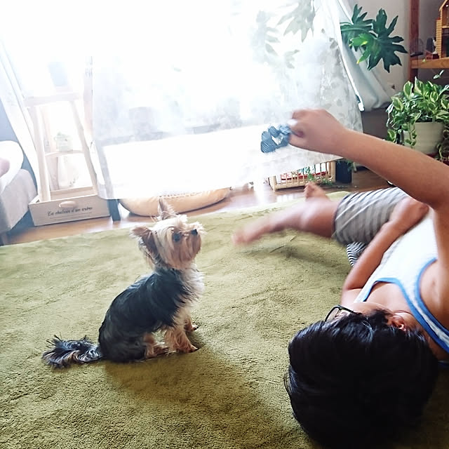 akiさんの実例写真