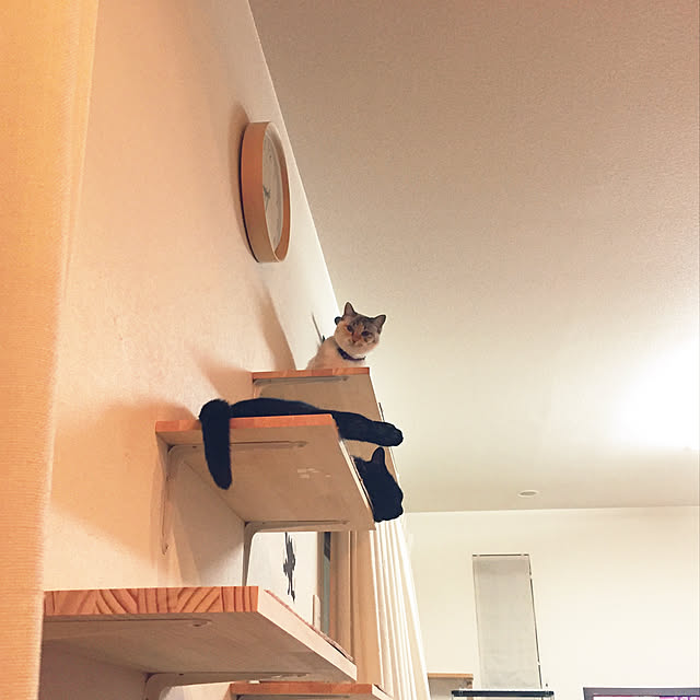 nanaさんの実例写真