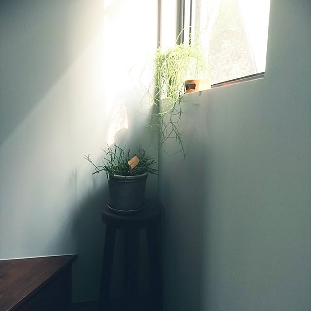 su.ji.naさんの実例写真