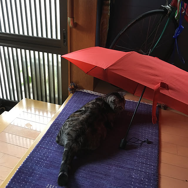 haruさんの実例写真