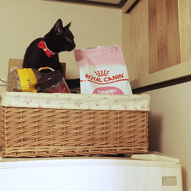 Beeさんの実例写真