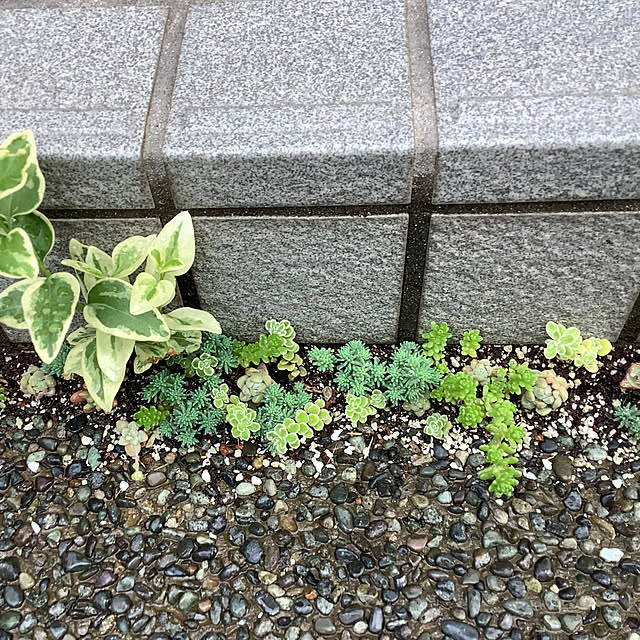 haruminさんの部屋