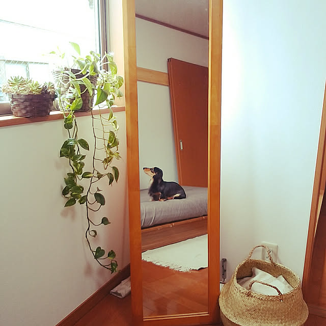 reonさんの実例写真