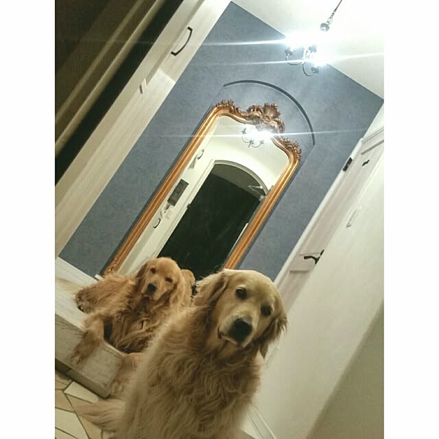 K.S.Rさんの実例写真