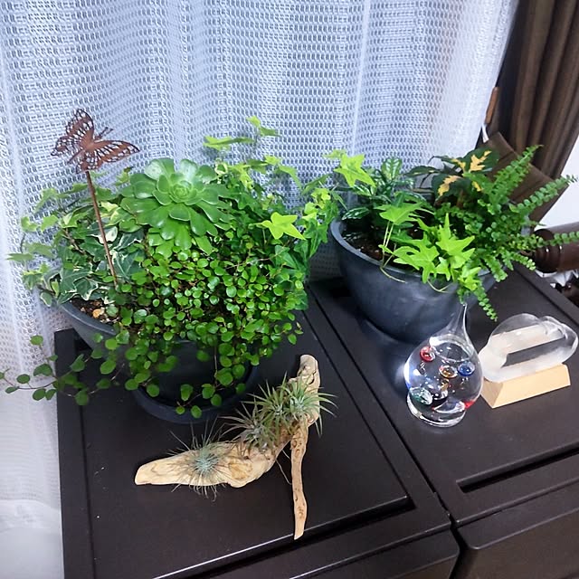 NSDさんの実例写真