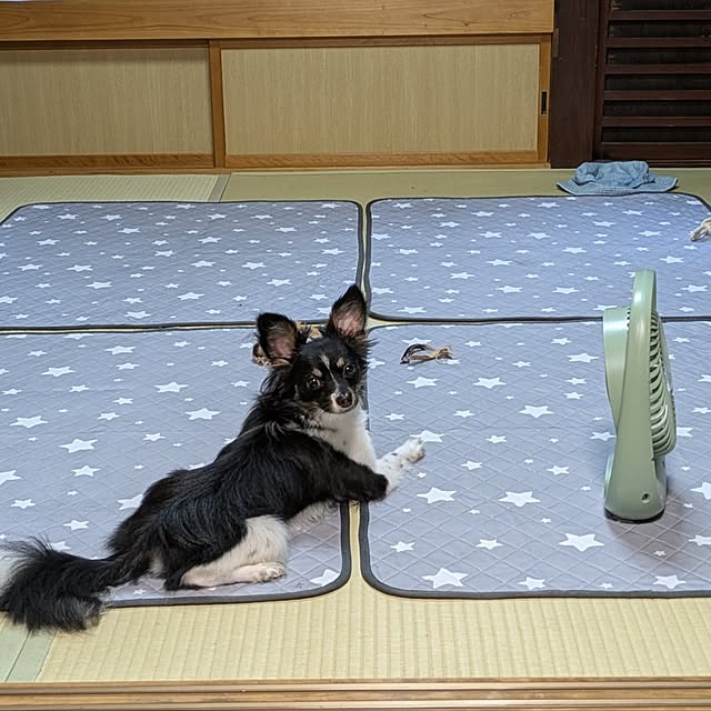 kuririnmamaさんの部屋