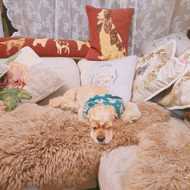 soraさんの実例写真