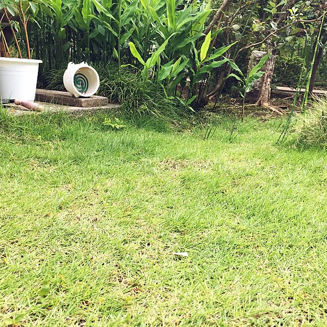 ichiさんの実例写真