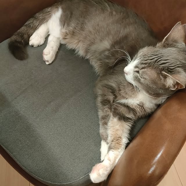 Yoko622さんの部屋