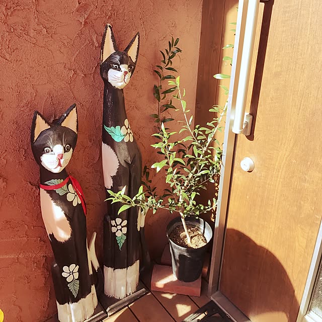 ayapanmanさんの実例写真