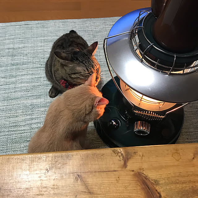 mikan161さんの実例写真