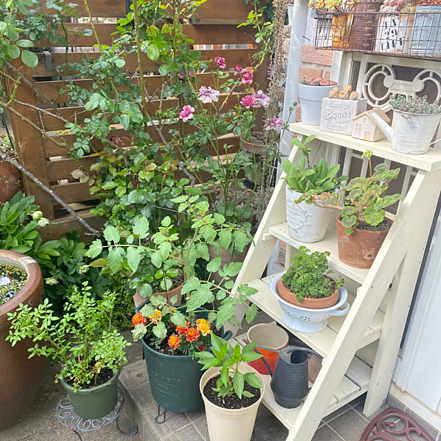 mintteaさんの部屋