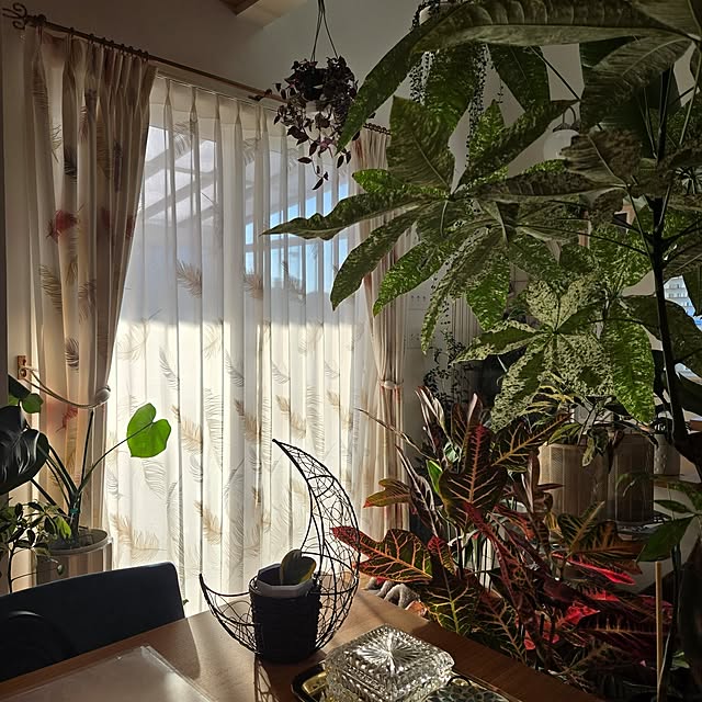 nonbiri_house_さんの実例写真