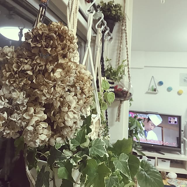 yuccoさんの実例写真