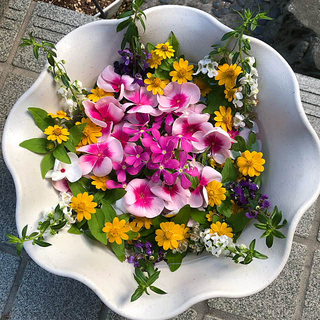 実例写真