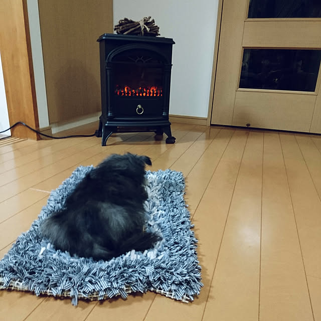 satominさんの実例写真
