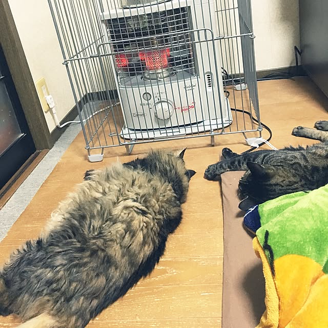 knekghrkktさんの実例写真