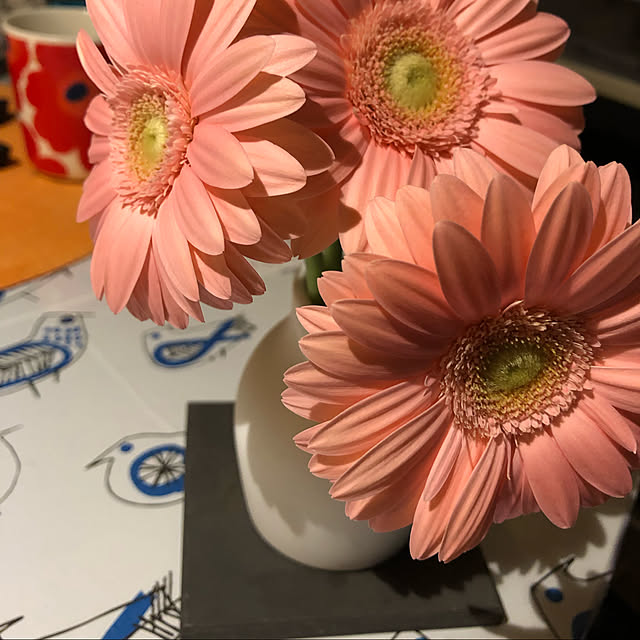 Frederickkさんの実例写真