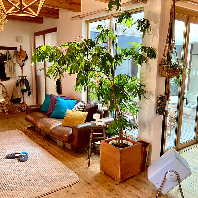 green.green.greenさんの部屋