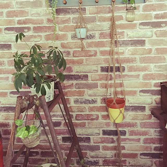 tintaさんの実例写真