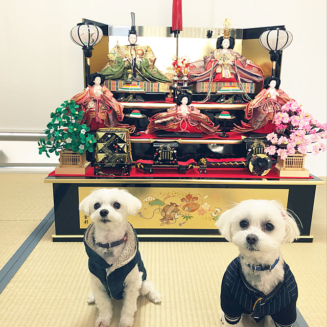 bdkさんの実例写真