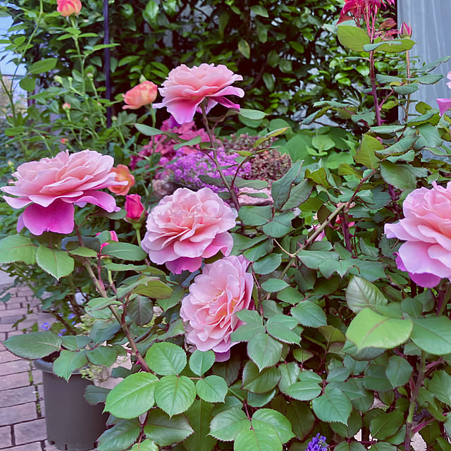tinkunさんの部屋