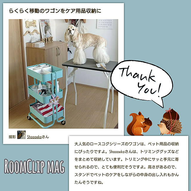 Shooowkoさんの実例写真