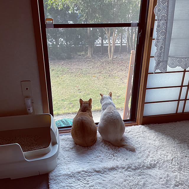 himetanさんの実例写真