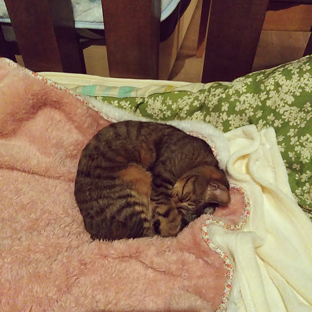 futukoさんの実例写真