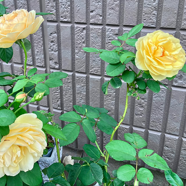 tinkunさんの部屋