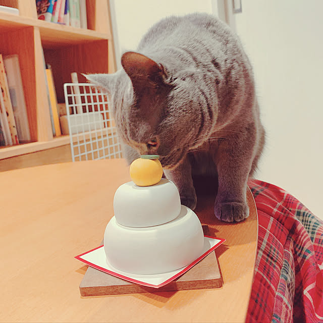 396nyaaさんの実例写真