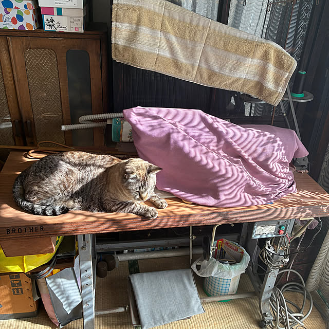 gecfrqxjjotjmdrtbgさんの実例写真