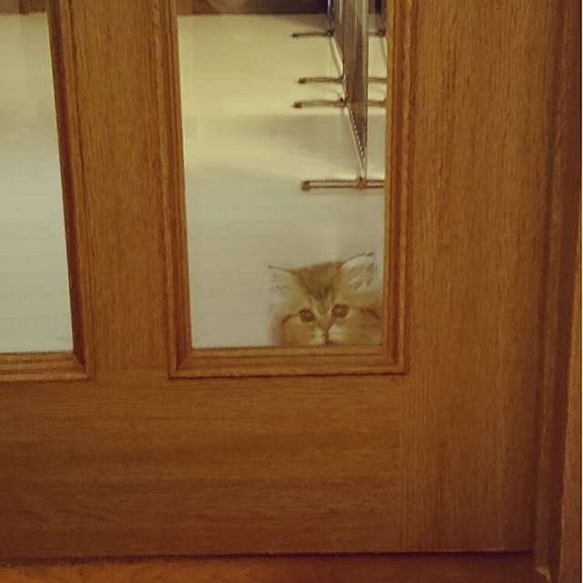 hanaさんの実例写真