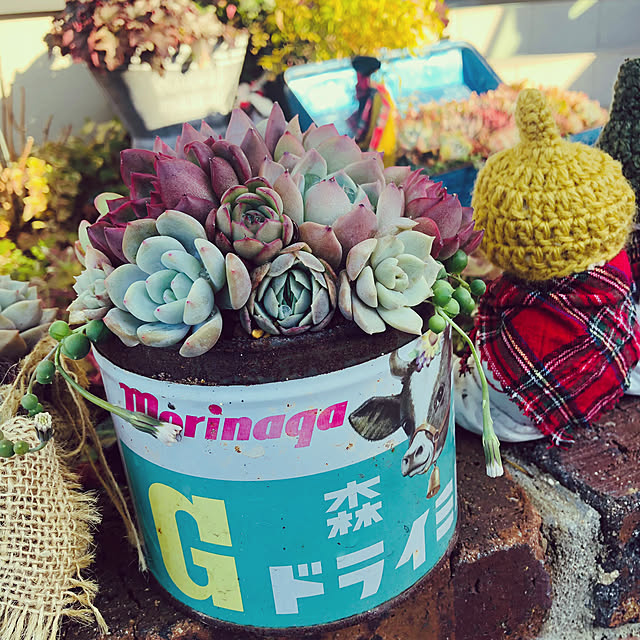 hanaさんの部屋