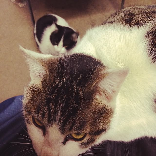 Yukoさんの実例写真