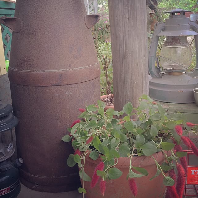 TOROさんの実例写真