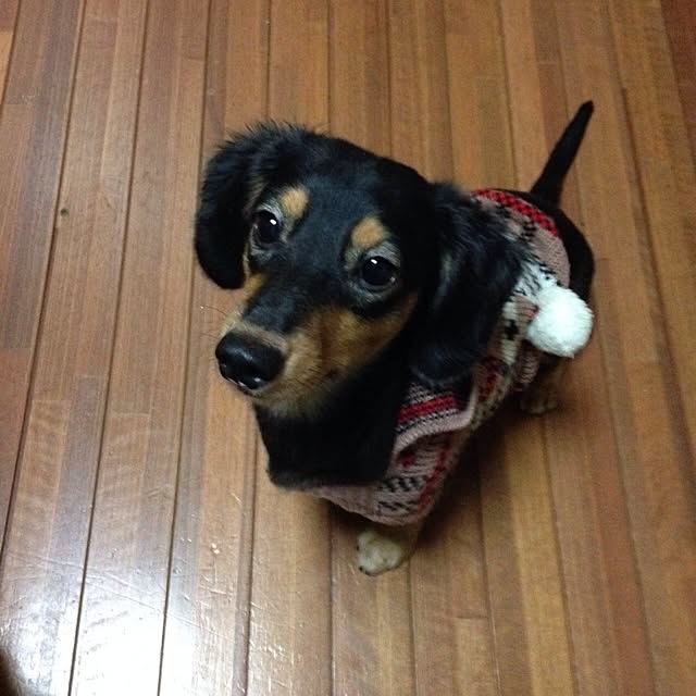 omayuさんの実例写真