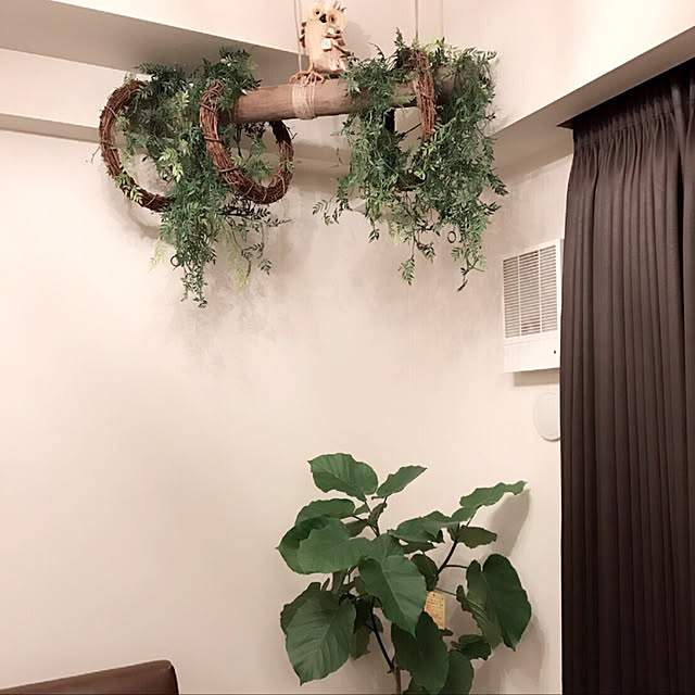 sayaka.jeriaさんの実例写真