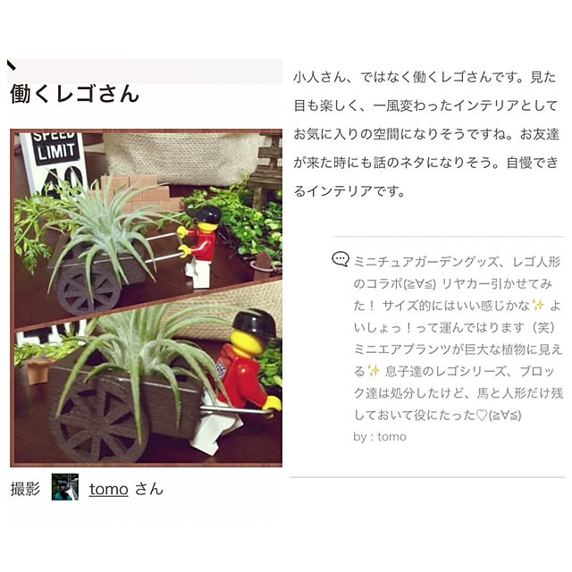 tomoさんの実例写真