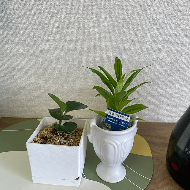 ykmmrさんの実例写真