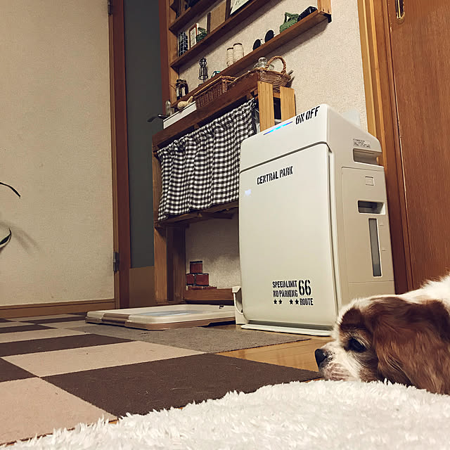 canmilmamaさんの実例写真