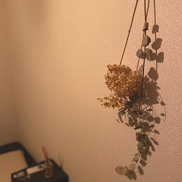 t_nishさんの実例写真