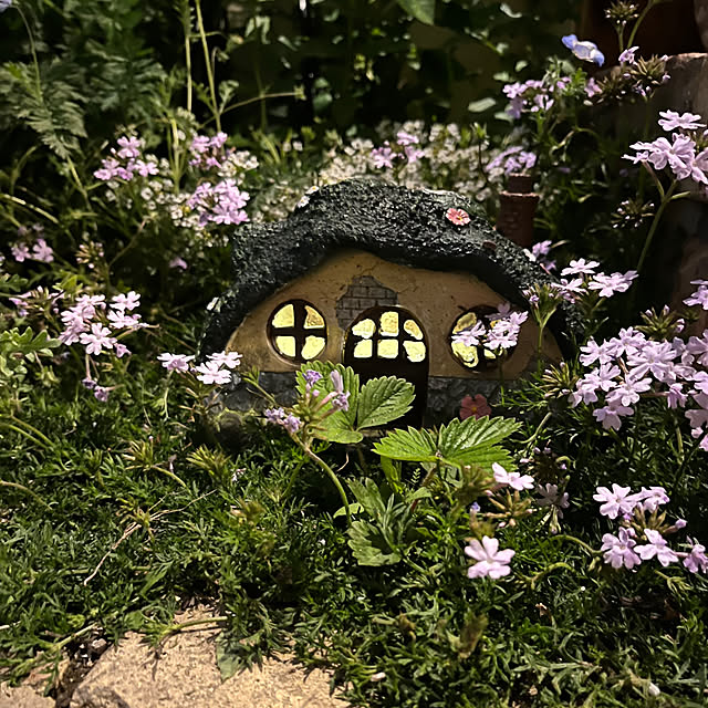 sakuraさんの部屋