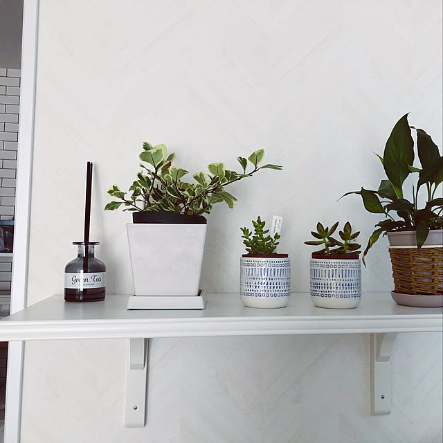 観葉植物/IKEA/多肉植物/ホワイトインテリア/棚のインテリア実例 - 2021-10-08 10:02:31